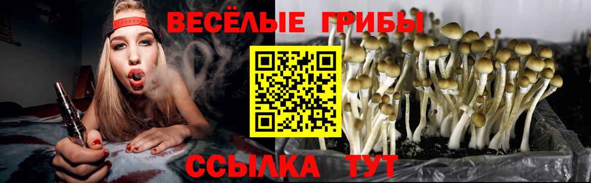 Псилоцибиновые грибы мицелий  Псилоцибиновые грибы ЛСД  Вход с VPN  Новоуральск 